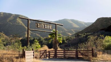 Story Featured Image